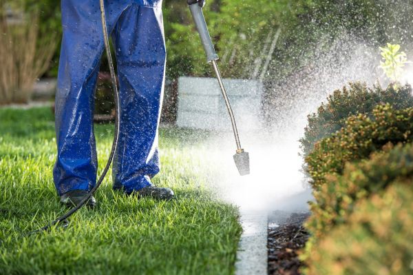 Curb Cleaning in Bremerton