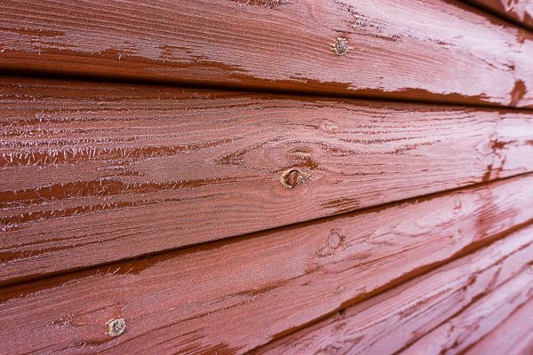 Cedar Siding Cleaning in Bremerton
