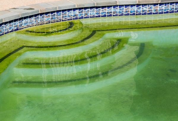 Pool Deck Algae Removal in Bremerton