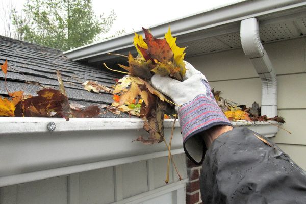 Eaves Cleaning in Bremerton
