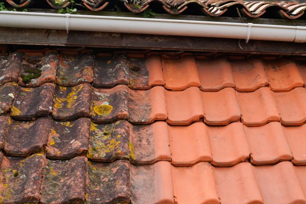 Industrial Roof Cleaning in Bremerton